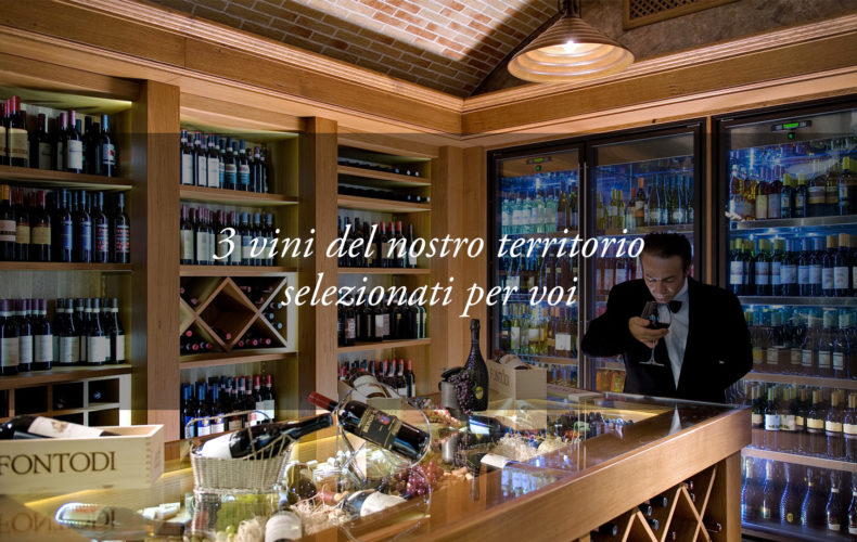 la cantina dell'hotel tritone offre i migliori vini italiani e dei colli euganei