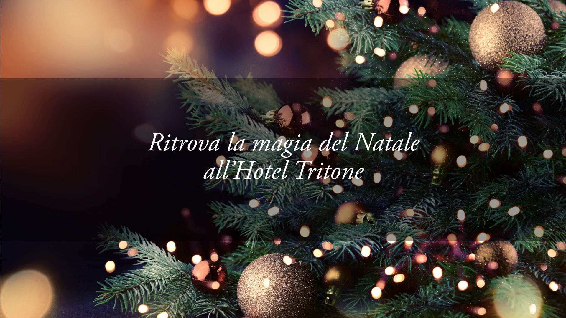 Ritrovare la magia del Natale in sicurezza, in ogni ambiente dell’Hotel Tritone