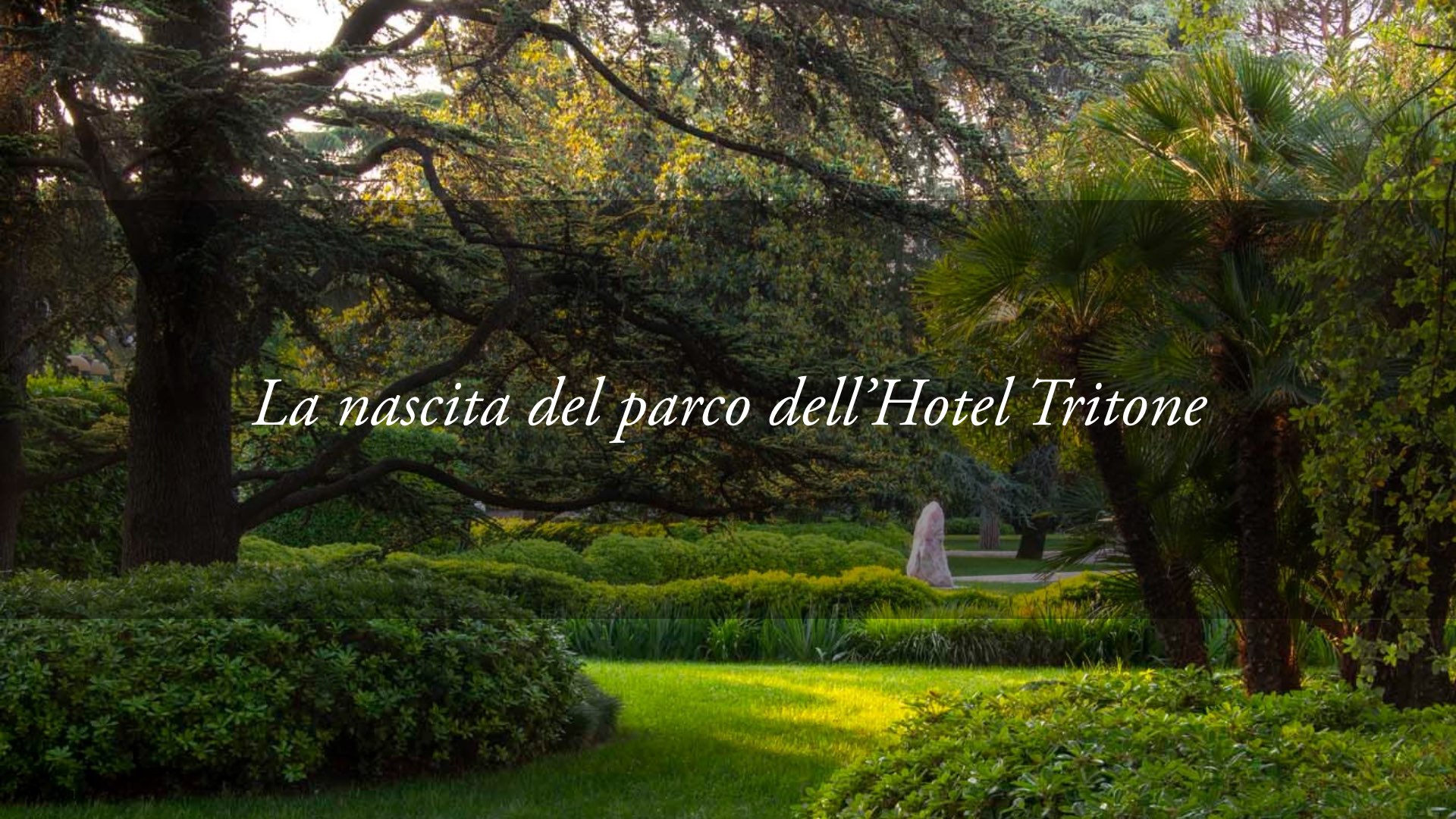 La nascita del nostro parco: una storia d’amore per la natura