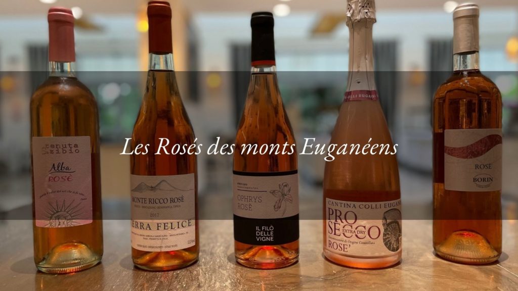 Les rosés des monts Euganéens : des grands vins à déguster à l’Hôtel Tritone