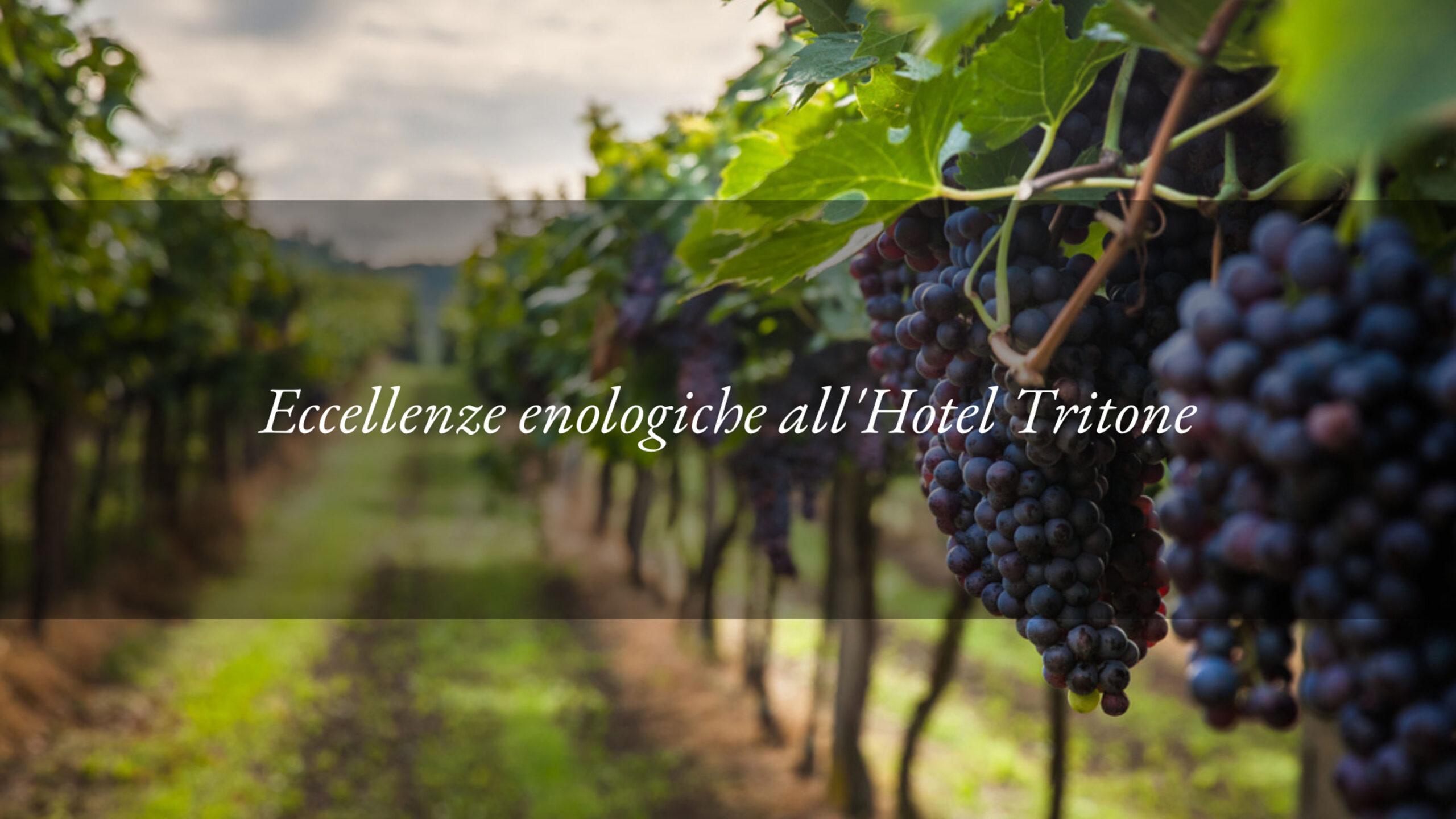 Due vini eccellenti per la cucina autunnale all’Hotel Tritone
