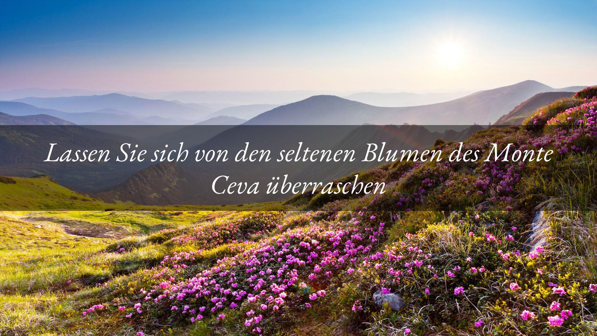 Seltene und wunderschöne Blumen: das Geschenk für diejenigen, die sich im Frühling für den Monte Ceva-Weg entscheiden.