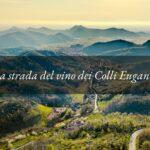 Strada del Vino dei Colli Euganei: un viaggio tra natura, sapori e paesaggi