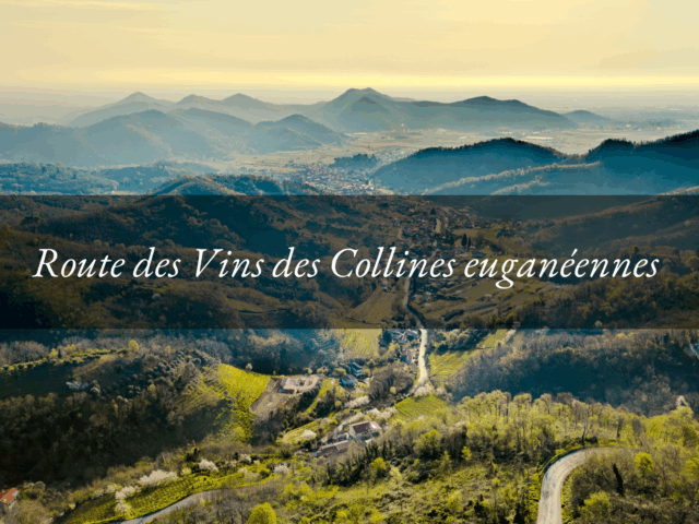 Route des Vins des Collines euganéennes : un voyage entre nature, saveurs et paysages