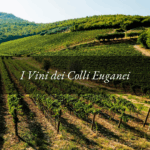 I Vini dei Colli Euganei: l’eleganza di un territorio in un calice