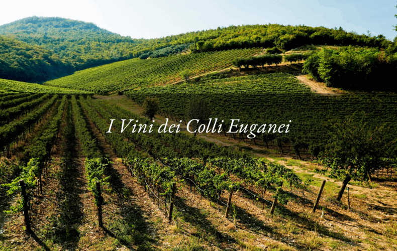 vini colli euganei