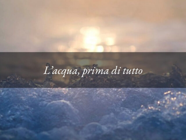 L’acqua, prima di tutto. Sotto i Colli Euganei, la cura comincia molto prima di incontrarci