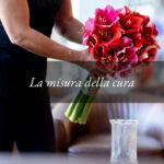 La misura della cura